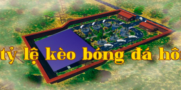 1-1ZP1153046443.png